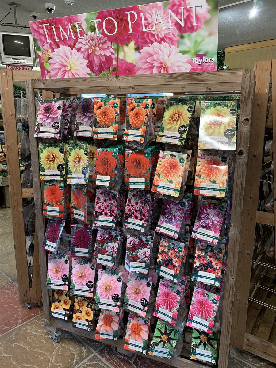 Wolvercroft's tweet photo. Large selection of bulbs now available, including Dahlia, Gladioli, Amaryllis and many more! #wolvercroft #gardencentre #alderholt #bulbs @taylorsbulbs https://t.co/xDhNc3MwuZ