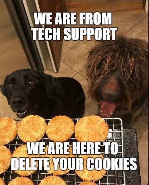 onetime6944's tweet photo. @MyDaniLuv @tina_flirts @lucyliberty42 ... right down to the last crumb ..🤣 https://t.co/yxw4MA0T3C