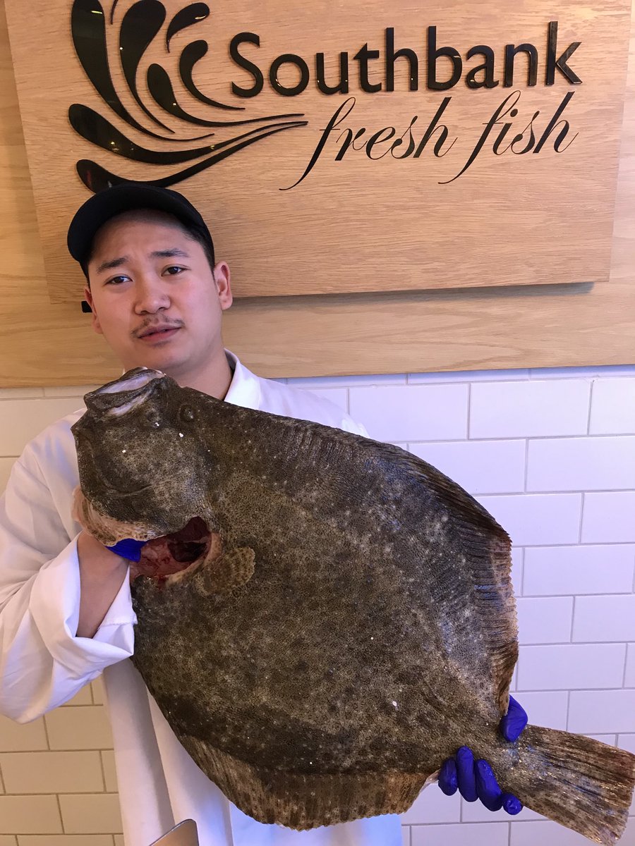 selfridges fish tweet media