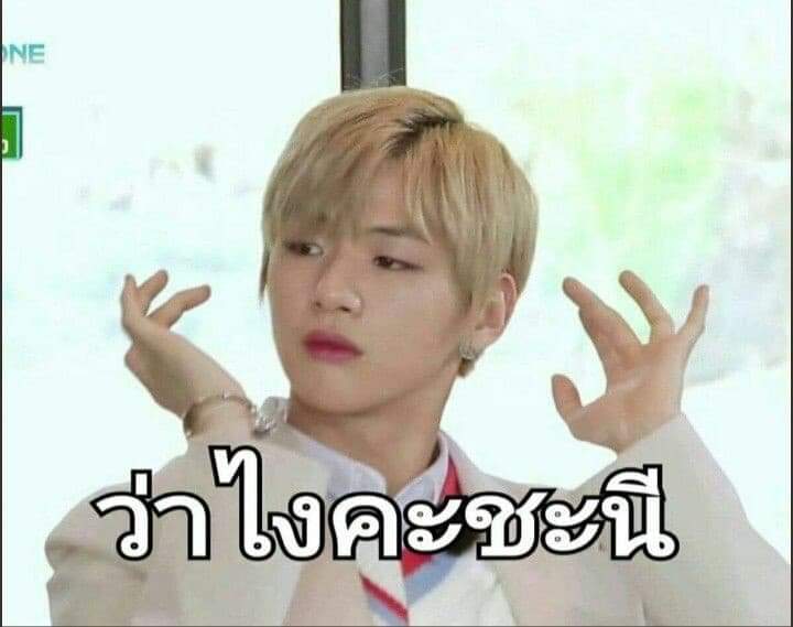 POYSIAN อ่านว่าโป๊ยเซียน tweet media