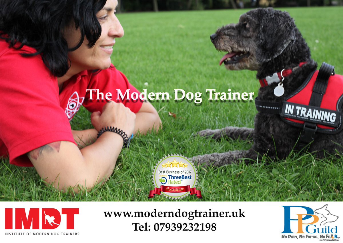 mod_dog_train's tweet photo. Science based dog training that gets results! 🐾 🐾 
Special offer on block sessions of 4. Puppy Home Visits available.
website link in bio
#londondogtraining #dogtrainer #puppytraining #rewardbasedtraining #getresults #londondogs https://t.co/JloOIxUCLW