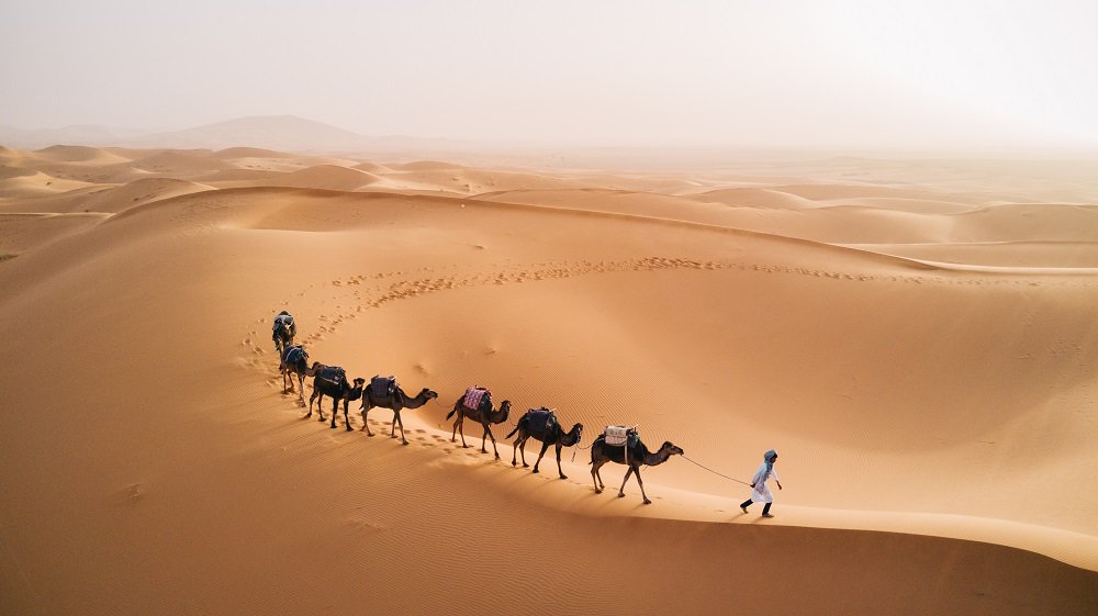 Introducing #Morocco - the jewel of North #Africa! From ancient #culture, #desertsafaris, and #food, here are the top 5 reasons why you should visit now:  goo.gl/4sfqkc 
#travel #travelwithET #privatetour #tailormadetravel #tripofalifetime #enchantingtravels