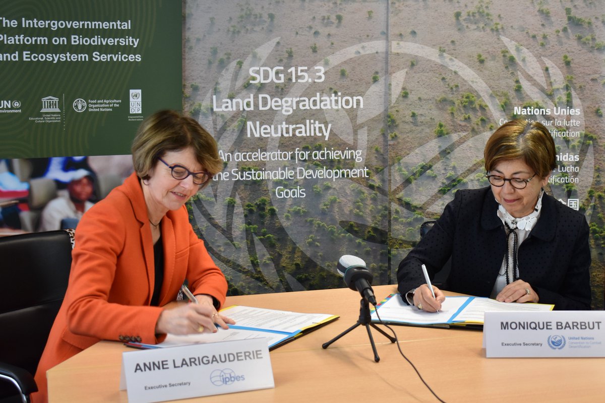 And where is the @UNFCCC to align and @IPCC_CH and @IPBES guidance on forest/land-use? Let’s start with a good aligned definition of land degradation that should guide ecological impacts of #ClimateAction at #sbsta50 #cop25 #gcas2019 and #EU2050! #MissingPathways #biomass #beccs