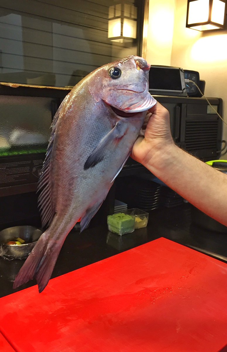 El sushi de verdad está en Gadisushi, con productazos como este borriquete. No me seas borrico, sino #borriquete 🐟🍣🍙☎️🛫#gadisushi #alestilogadisushi #voyalcentro #mercadocentral #rincongastronomico #sushi