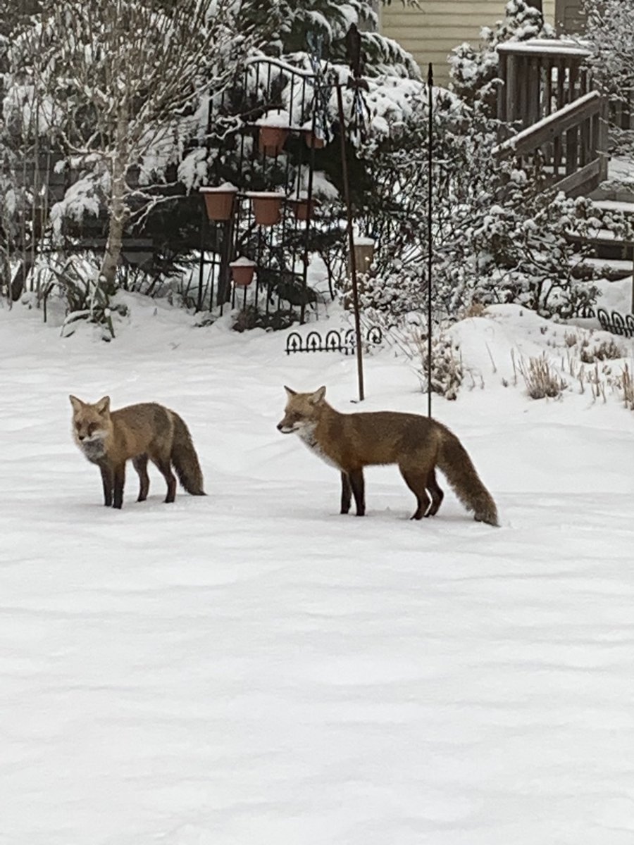 Alex Liggitt tweet media