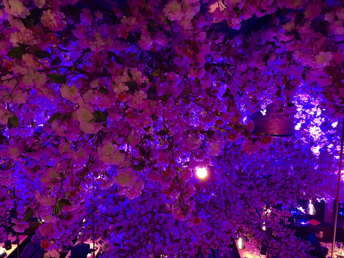 chrisburtchef's tweet photo. Big Thanks to @TattuRestaurant &amp; @ryanking46 for the invite to the fantastic launch of Tattu Birmingham - Great Food &amp; Hospitality - &amp; I'm Certain its Going to be a Roaring Success - i would urge everyone to give them a visit - @MonkeyLewis1 @chefliamjames @Sammy_Libertine https://t.co/AnUQdK2f3s