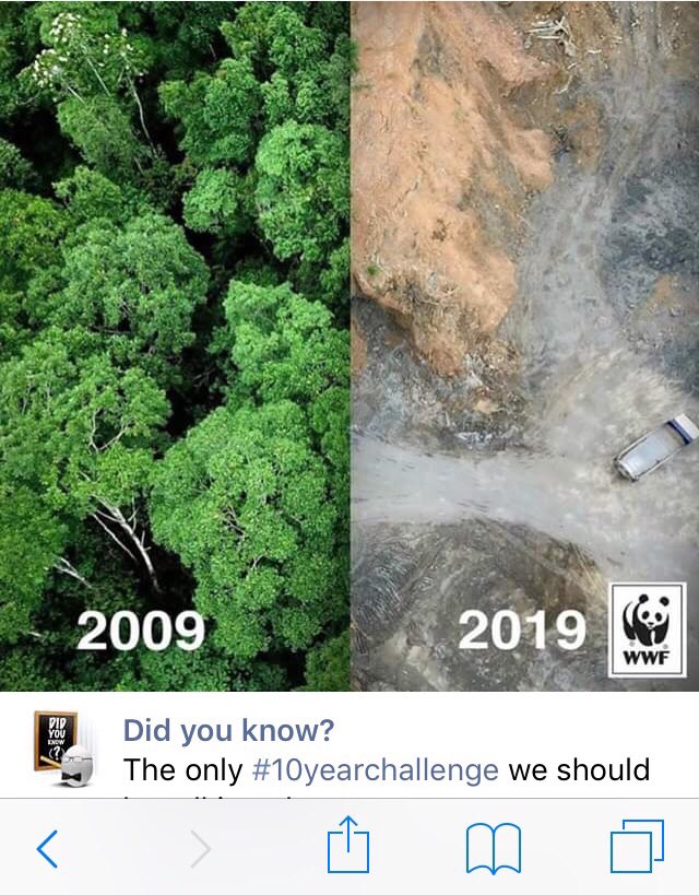 geniuscreative's tweet image. Earth #10yearchallenge #deforestation #WWF #needforchange #environment #nature #wildlife