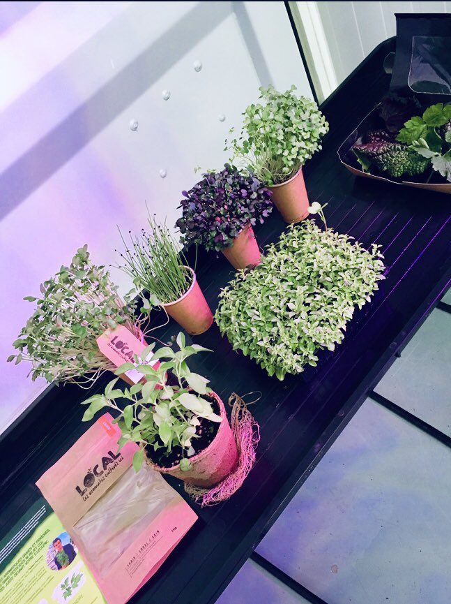 jclagarde's tweet photo. Rencontre ce matin avec Fabien Persico, jeune créateur de @Lafarmbox, qui produit de manière écologique des salades et plantes aromatiques en plein centre-ville de Rennes. https://t.co/IBU9HYAk5Q