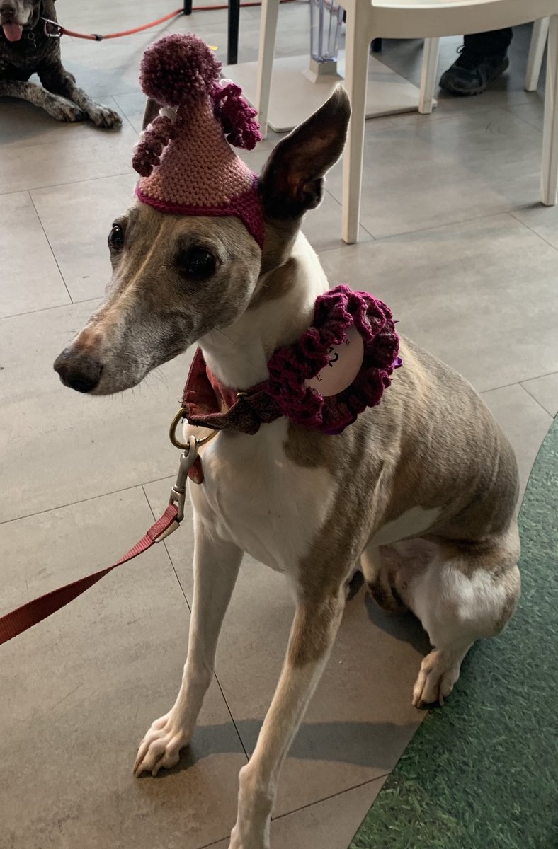 neil cruickshank tweet media