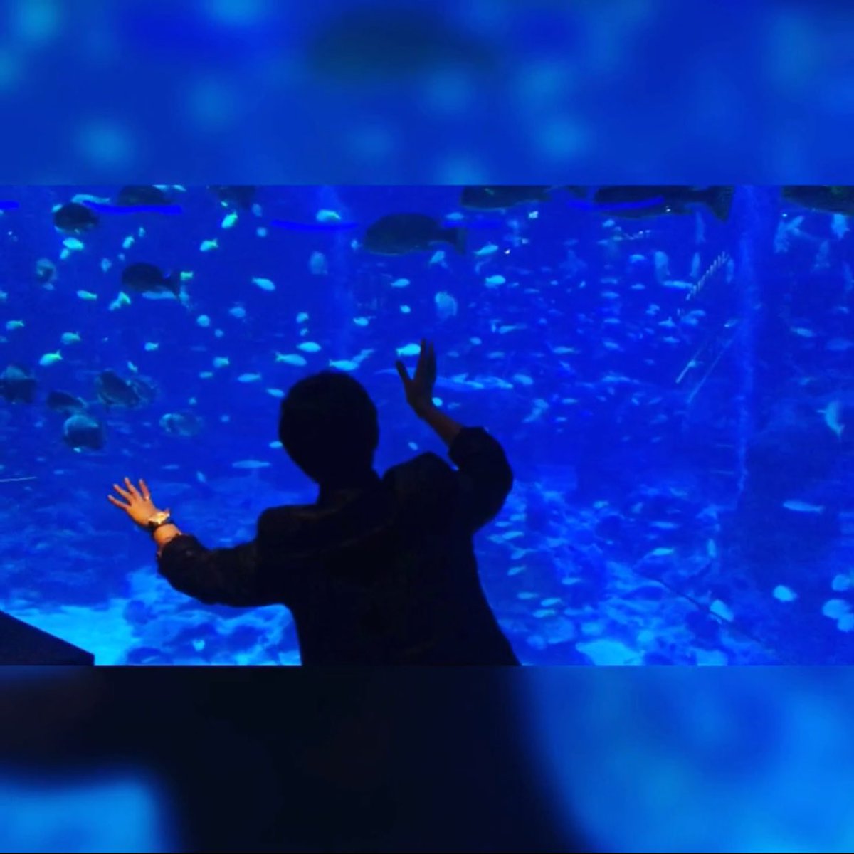 What da heck is ah boy boy doing?🤔 #Xander #Aquaboy instagram.com/p/BsxvD1TlNB6/…