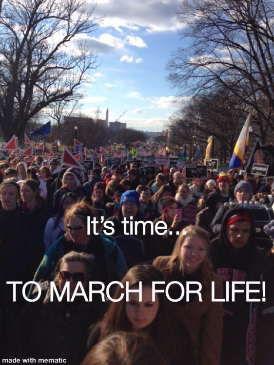 RespectLifeOfcD's tweet photo. #WhyWeMarch #UniquefromDayOne #9DaysforLife @March_for_Life @usccbprolife @HumanLifeAction @TeresaTomeo @CatSzeltner @EWTN @alyssamurphy @gloria_purvis @damonowens @cfpnews https://t.co/RYVv8GG54D