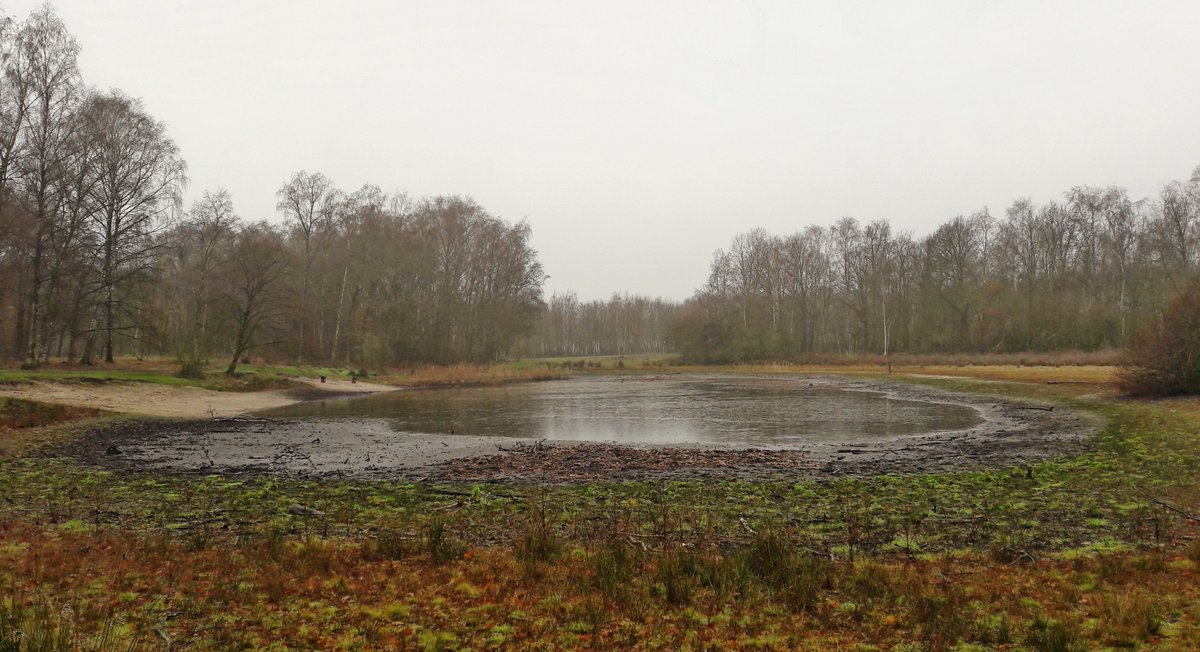 inja5248's tweet photo. #Pepinusbrug Mist(iek) in 't #Marissen
#Hingen #Köstersvenke met 'n dun ijslaagje
#Peij rijp op hazelaarkatjes
#Hingen de mist lost langzaam op
@hetweerlokaal
@BuienRadarNL
@MeteoGroupWeer
@weeronline
@MeteoLimburg
@KNMI
@NOSWeer
@Weerplaza https://t.co/UtdowXMkEa