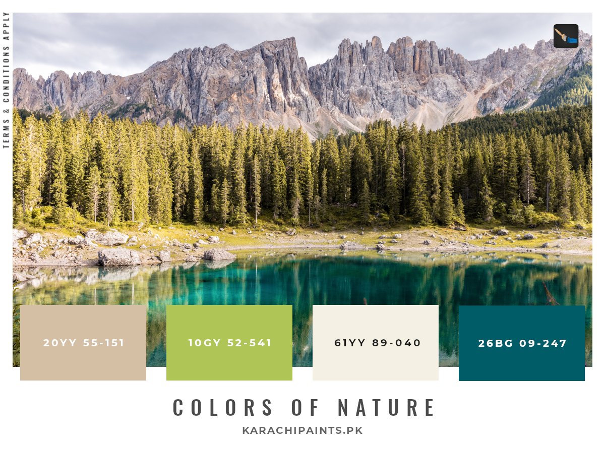 karachipaints's tweet photo. Paint with nature's choice of colors

Get them here: https://t.co/laG1v6dGrJ

#KarachiPaints #LetsGetPainting #karachi #pakistan #onlineshopping #paint #painting #color #colorful #decor #homedecor #architecture #homesweethome #delivery #brands #january https://t.co/5Klk270Y3y