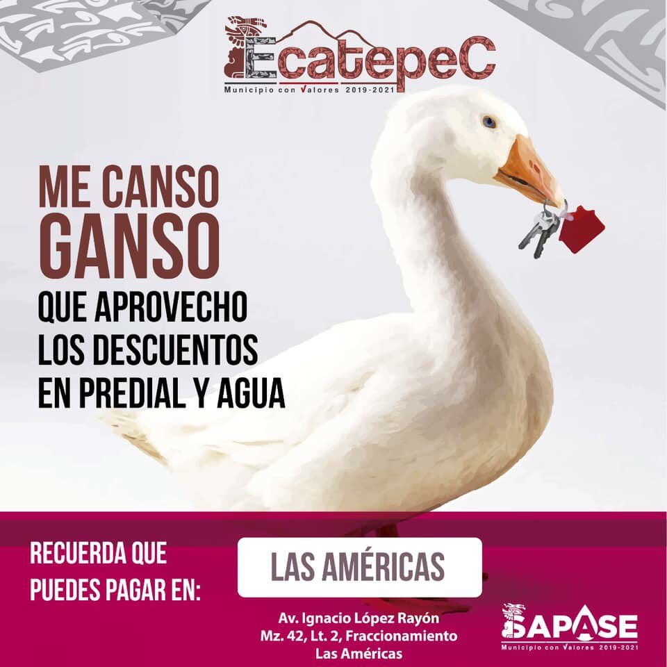Ecatepec's tweet photo. #Ecatepec avanza pagando tu predial y agua. ¡Aprovecha este mes de enero el mayor descuento! Consulta los horarios de las receptorías. #MunicipioConValores #BuenViernes https://t.co/a4ddgvZskJ