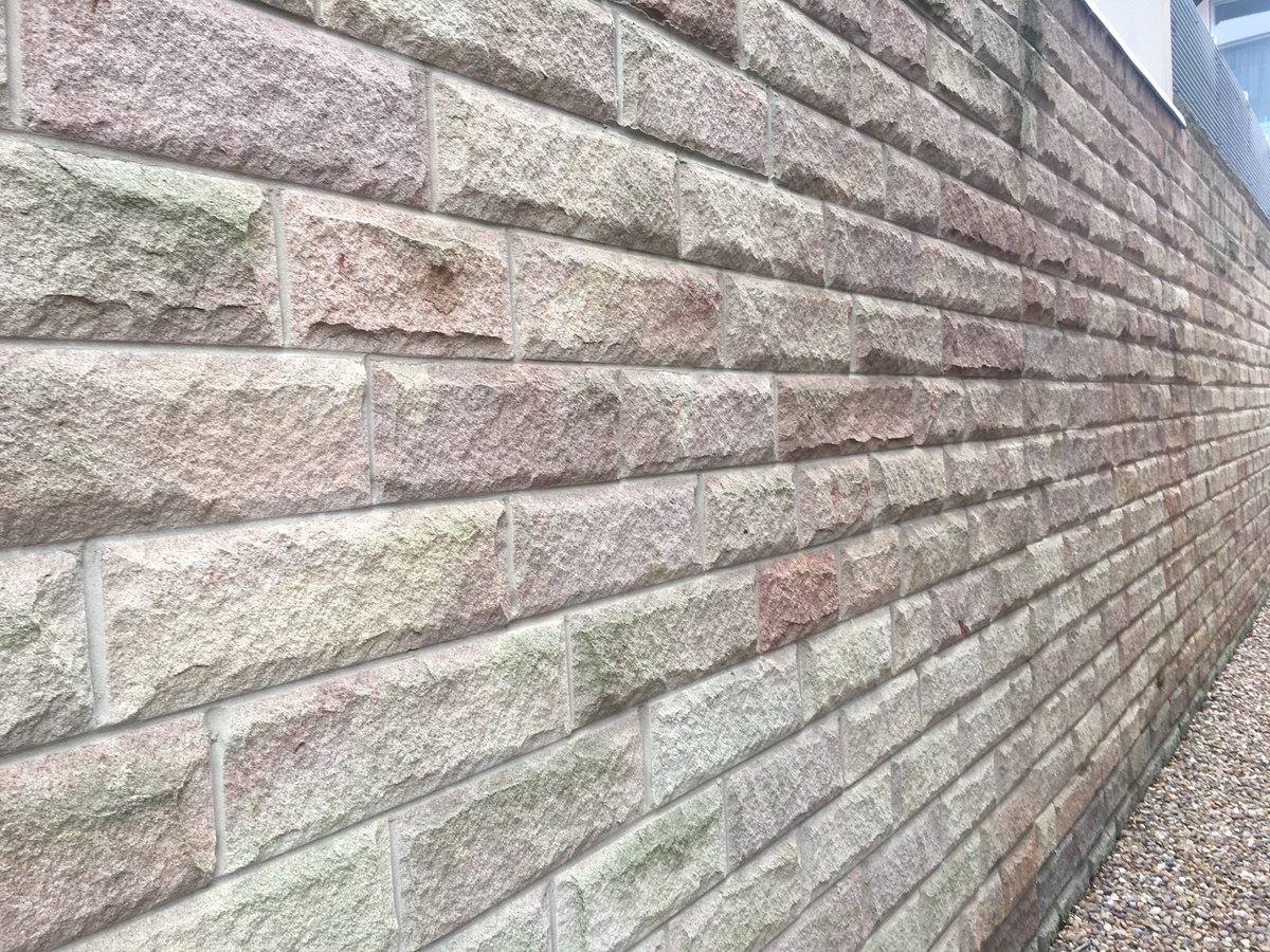 VertebratePub's tweet image. We also have our own old school traverse wall. #crimp.