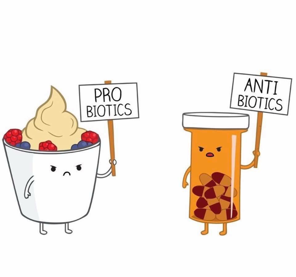 PURECompRx's tweet photo. Happy Friday! ๐
#antibiotics #probiotiocs #pharmacyhumor #compoundedmedications #customizedforyou #PURECompounding #YourLocalCompoundingPharmacy https://t.co/beFSiZVww6