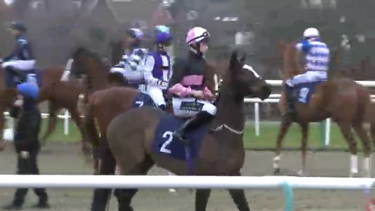 Ukbooney's tweet image. Rectory Road 6/1 today at Kempton - well done #andrewbalding