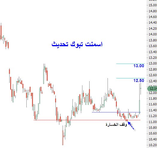 سعر سهم تبوك الزراعية