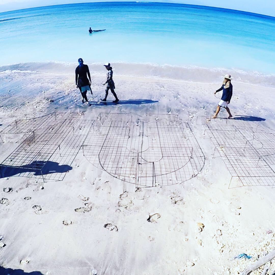 Allcapsstore tweet media