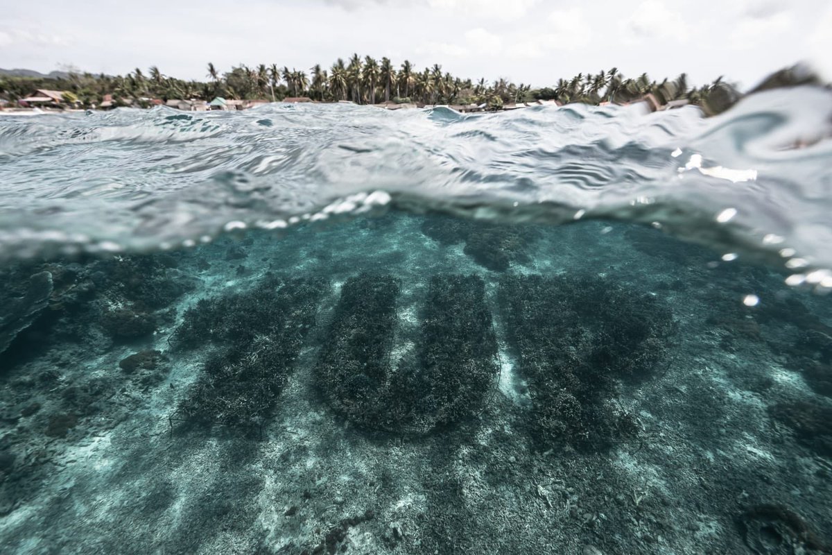 Allcapsstore tweet media