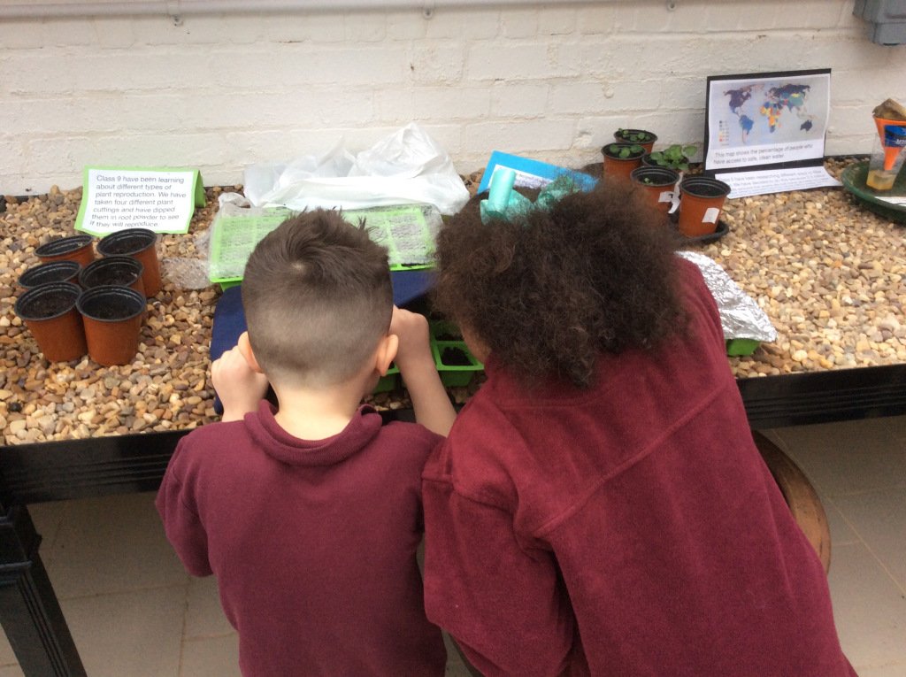 Science Experiment  wombridgeprimaryclass2.wordpress.com/2019/01/18/sci…