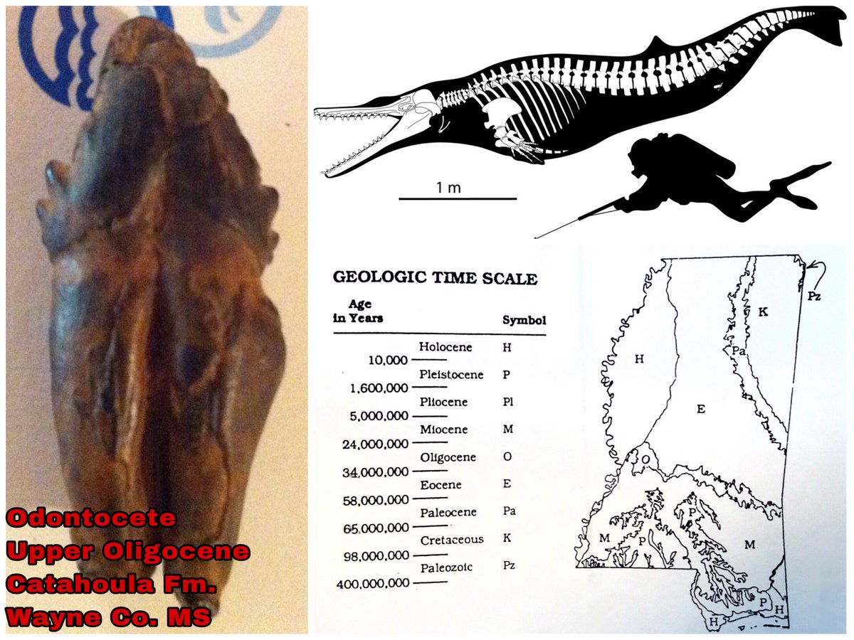 MDEQ's photo on #FossilFriday