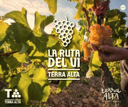 ViOrigen's tweet photo. Neix la Ruta del Vi de la Terra Alta, més info: https://t.co/b2jQGJHhMd #TerraAlta #ViOrigen https://t.co/15nFe9FJE5