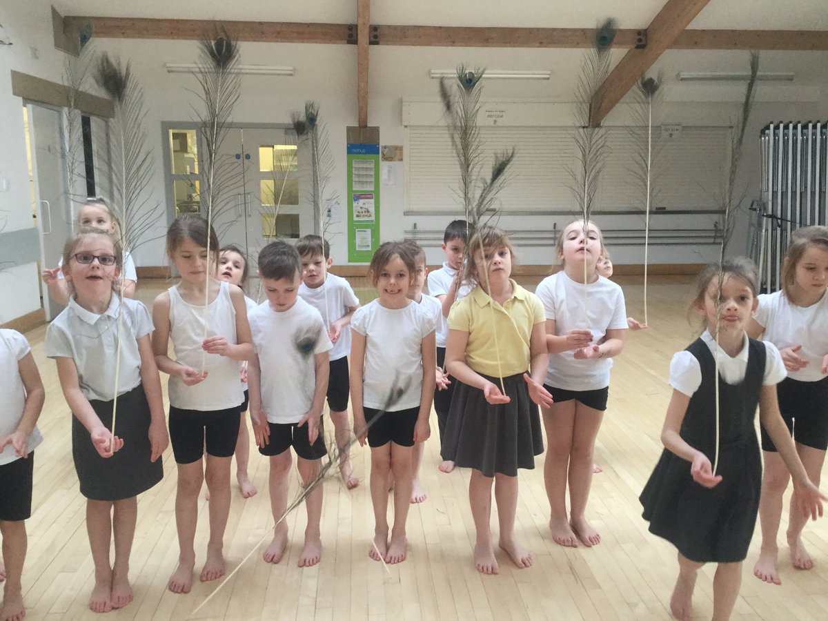 Mr Coglan - Year 2 tweet media