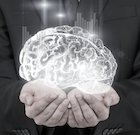 Online Brain-based Leader Certificate - Earlybird Closes 25 January - mailchi.mp/academy-bbl/bl…