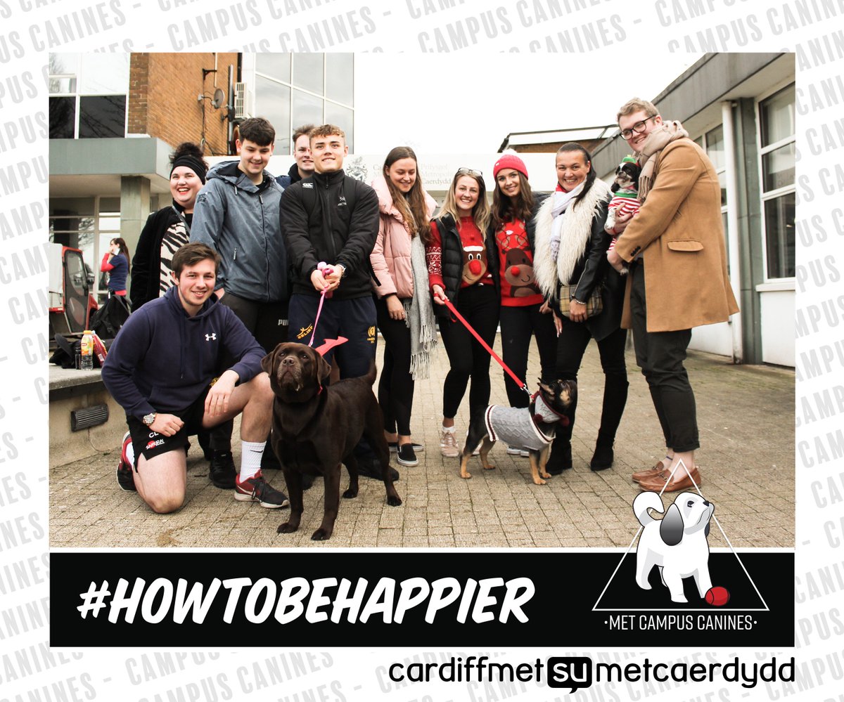 CardiffMetSU's tweet photo. All of this is part of our #HowToBeHappier Campaign..

We love seeing all students come together with their love for Dogs! https://t.co/dc4IDVJEMA