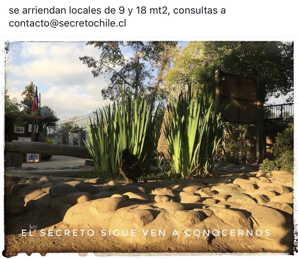 ParqueElSecreto's tweet photo. Tienes un emprendimiento? Este es tu lugar . Un parque con tiendas al aire libre . Te ofrecemos seguridad , lindo entorno y buena onda . Contáctanos en contacto@secretochile.cl en el corazón de @lo_barnechea https://t.co/tYRgnPW85y