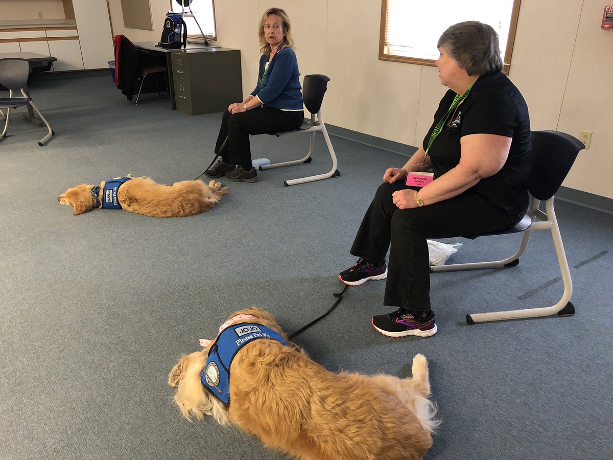 Stefanie Shefler tweet media