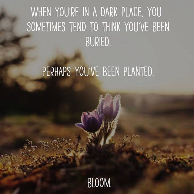 mojotidbits's tweet photo. #growth #journey #alwayskeeptrying #feelingtrapped https://t.co/28bcwyB4Jl