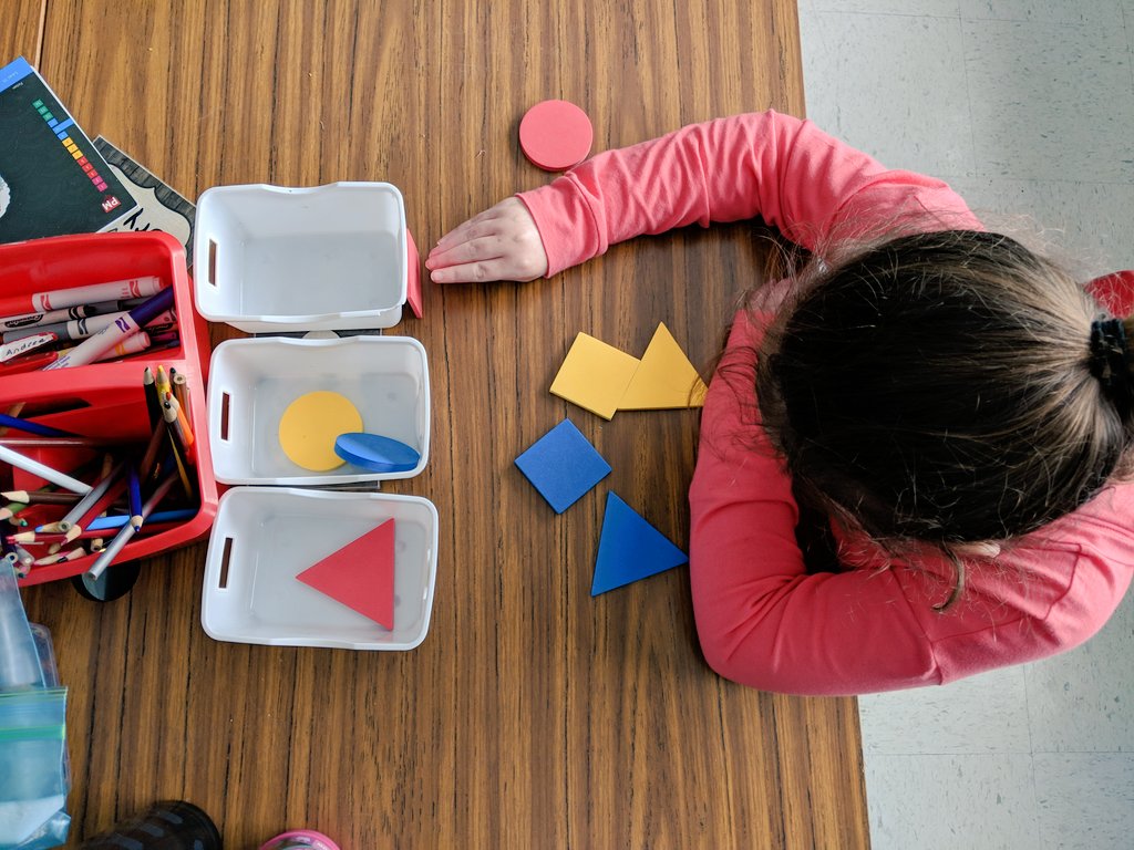 MsPhillips8's tweet photo. Sorting shapes this morning. Great job! #modifiedmath @GreatClassOCSB @FantasticMrFaux @OCSBSpecEd https://t.co/k0nlV4d0p7