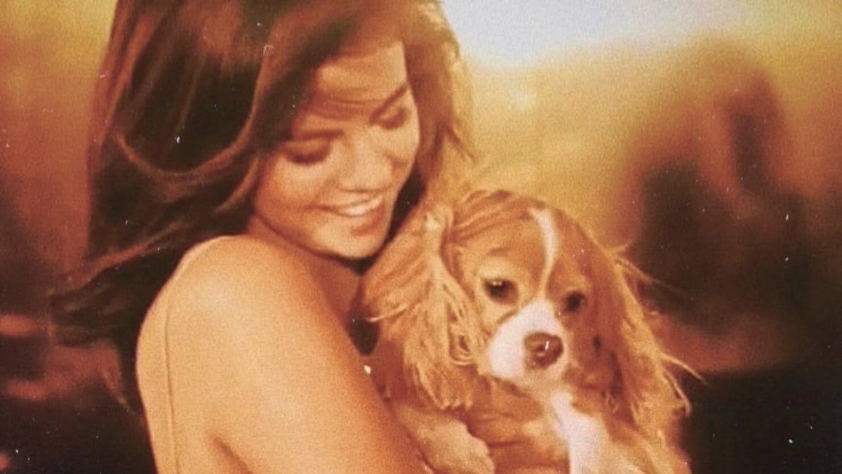 gomezbilgi's tweet photo. 21 Şubat Selena’nın yakın arkadaşı Courtney evleniyor. Justin Bieber ve Hailey düğüne katılacaklar. Selena’yla bir araya gelebilirler. https://t.co/KX7hTQlfqU