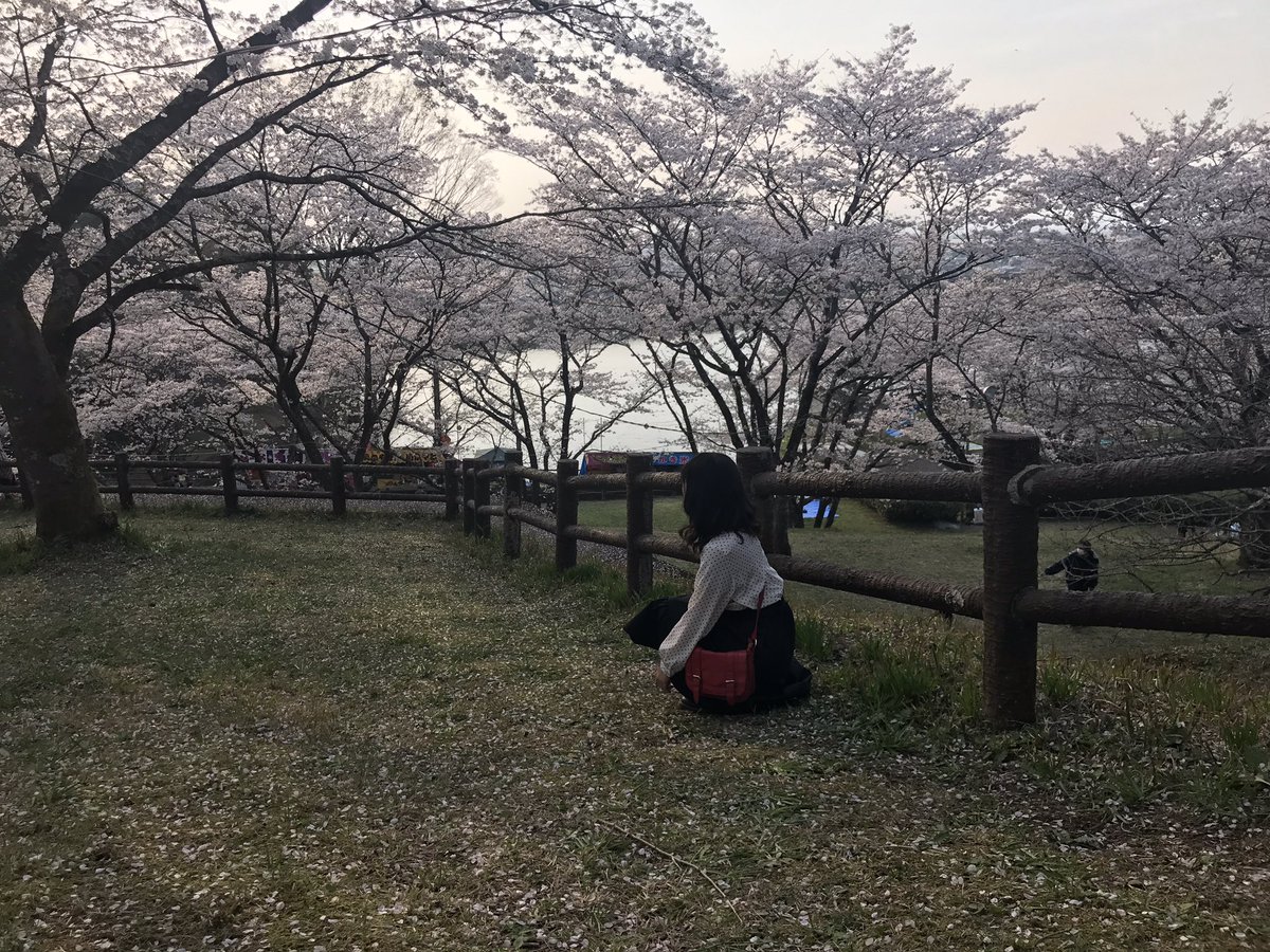 merr__8's tweet photo. @l75___ 去年見にいったね https://t.co/bEeWllEsNV