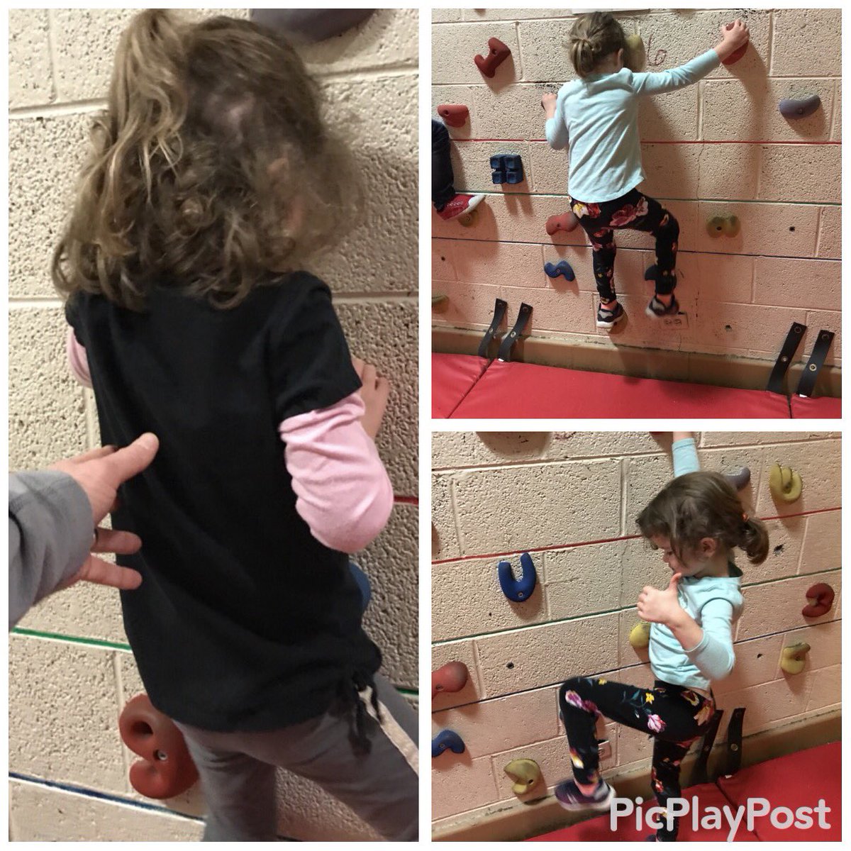 Norwood PE tweet media