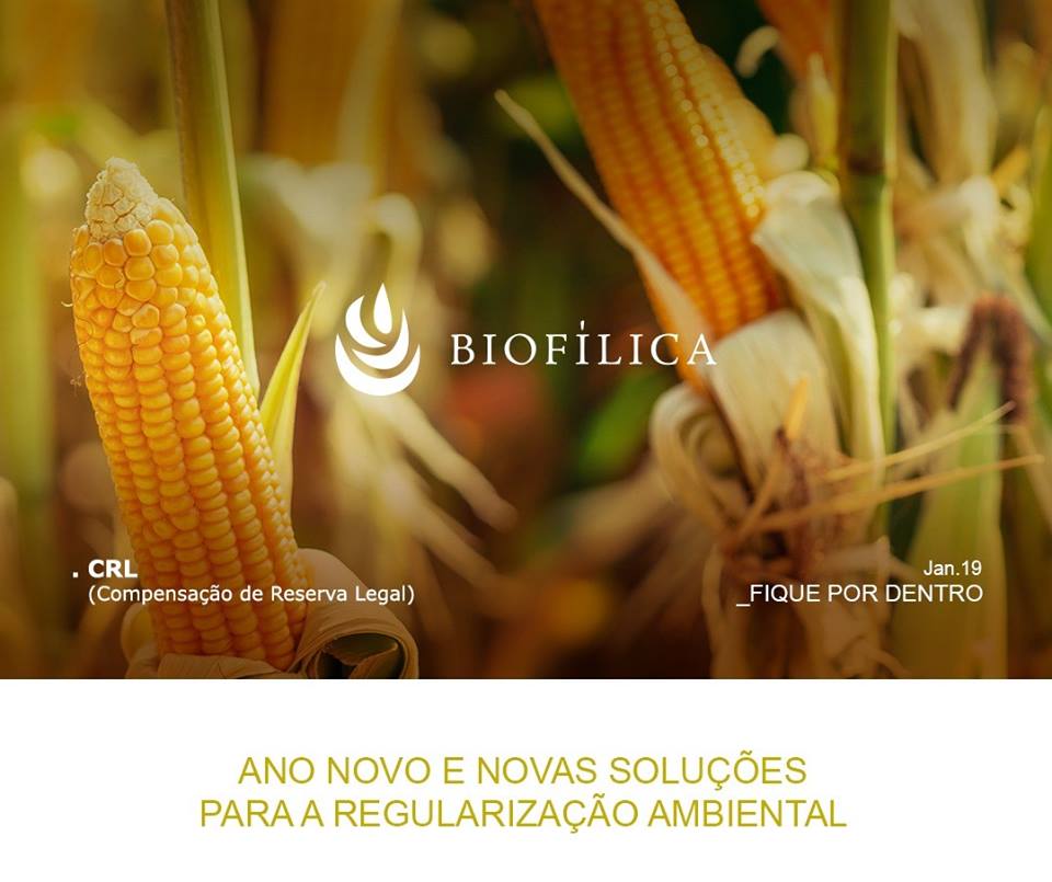 MovInvestiment1's tweet photo. 2019 trouxe novas perspectivas para a regularização ambiental dos imóveis rurais. Diversas medidas foram anunciadas pelos estados e união que garantem um ano mais promissor p/ o proprietário que deseja regularizar seu imóvel com maior segurança jurídica. https://t.co/TbOwH7yrAR https://t.co/sLIfheeNmz