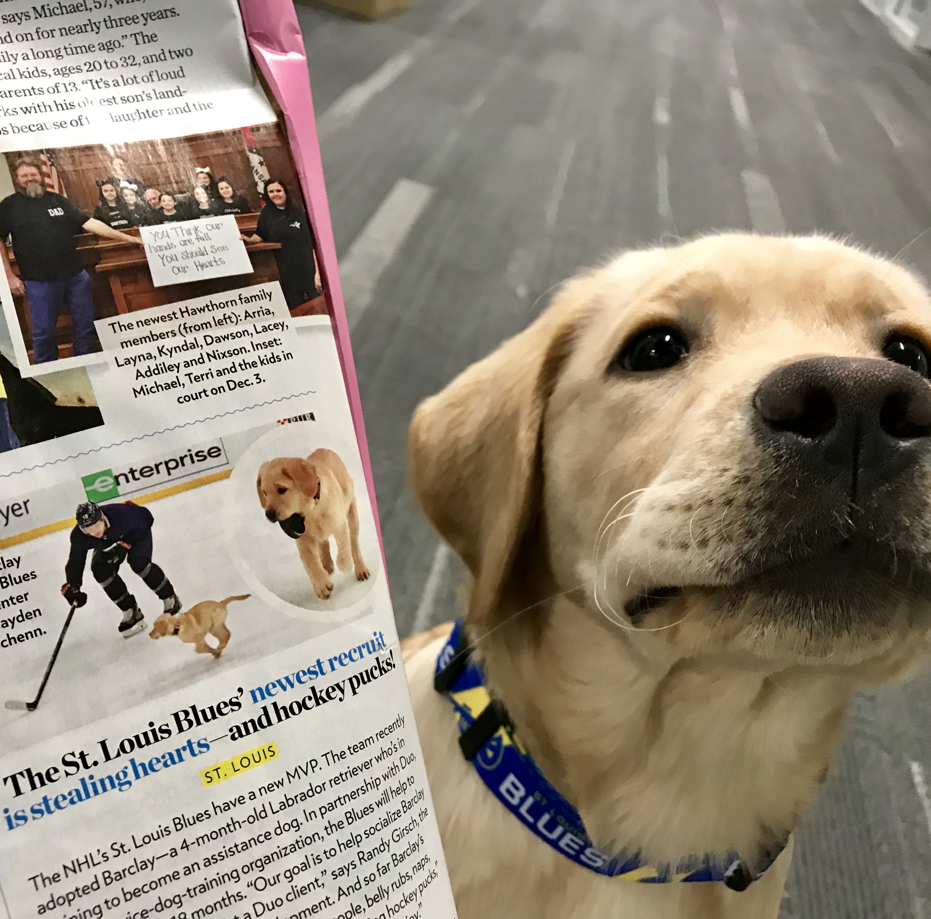 St. Louis Blues on X: Barclay's in @people magazine and now the