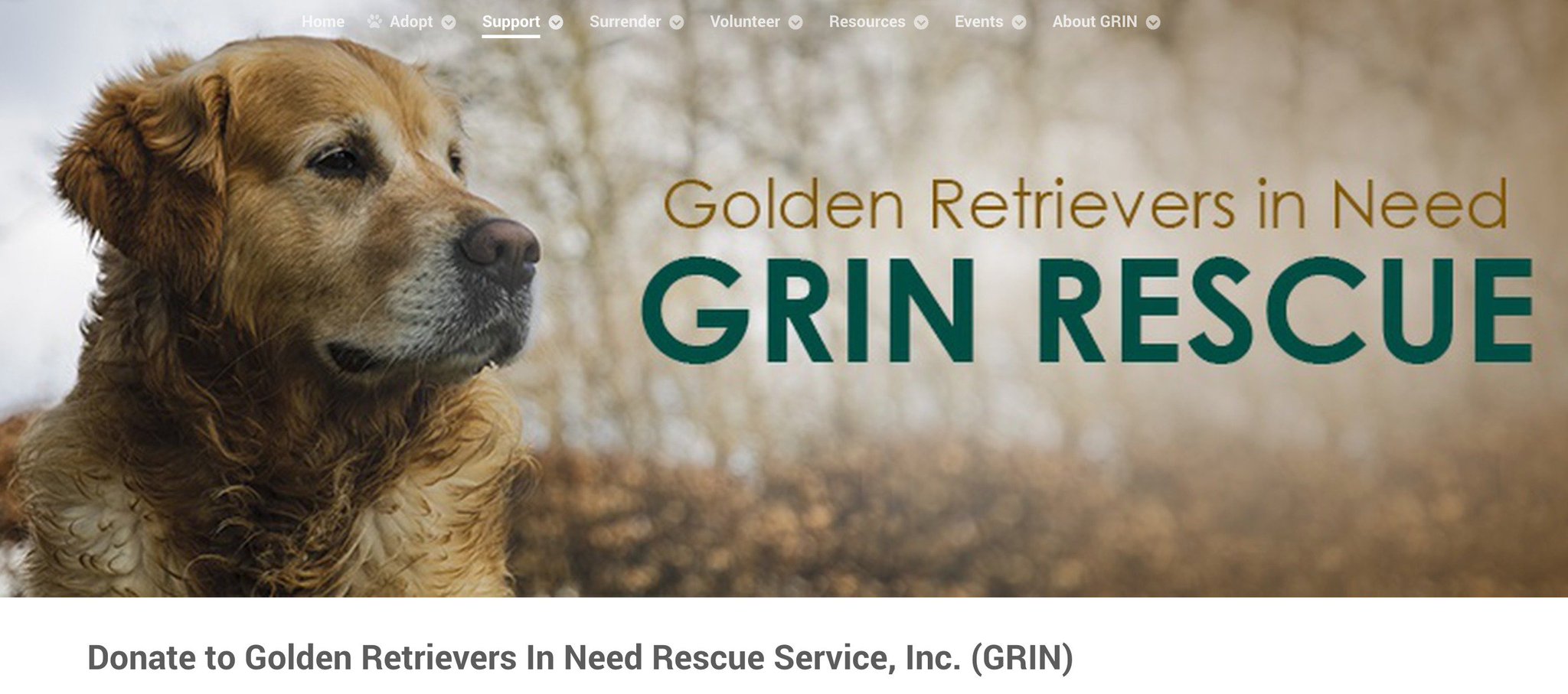 golden retrievers in need rescue
