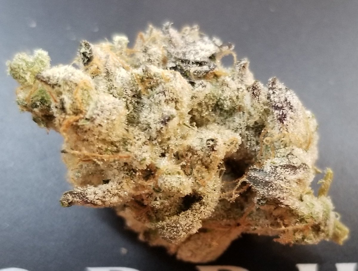 FixMyPot's tweet image. Isn't she Lovely? If your tree isn't looking like this when you crop then you're doing it wrong or bad Genetics. Learn my secrets Here=&amp;gt;fixmypot.com/scroggrowing #Cannabis #marijuananews #growcannabis #homegrown #mmj #MedicalCannabis  #CartierCrops