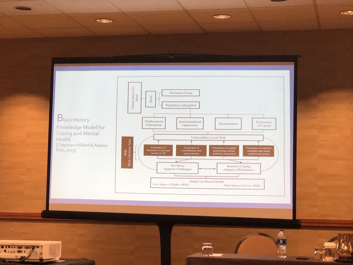 HelenNeville12's tweet photo. Dr Collette Chapman Hilliard speaking truth about the importance of Black historical knowledge. Yes having this knowledge relates to positive mental health. #nmcs2019 https://t.co/LQ3IAp3iMi