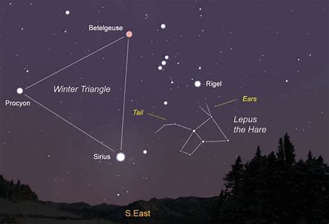 da13thsun™ tweet media