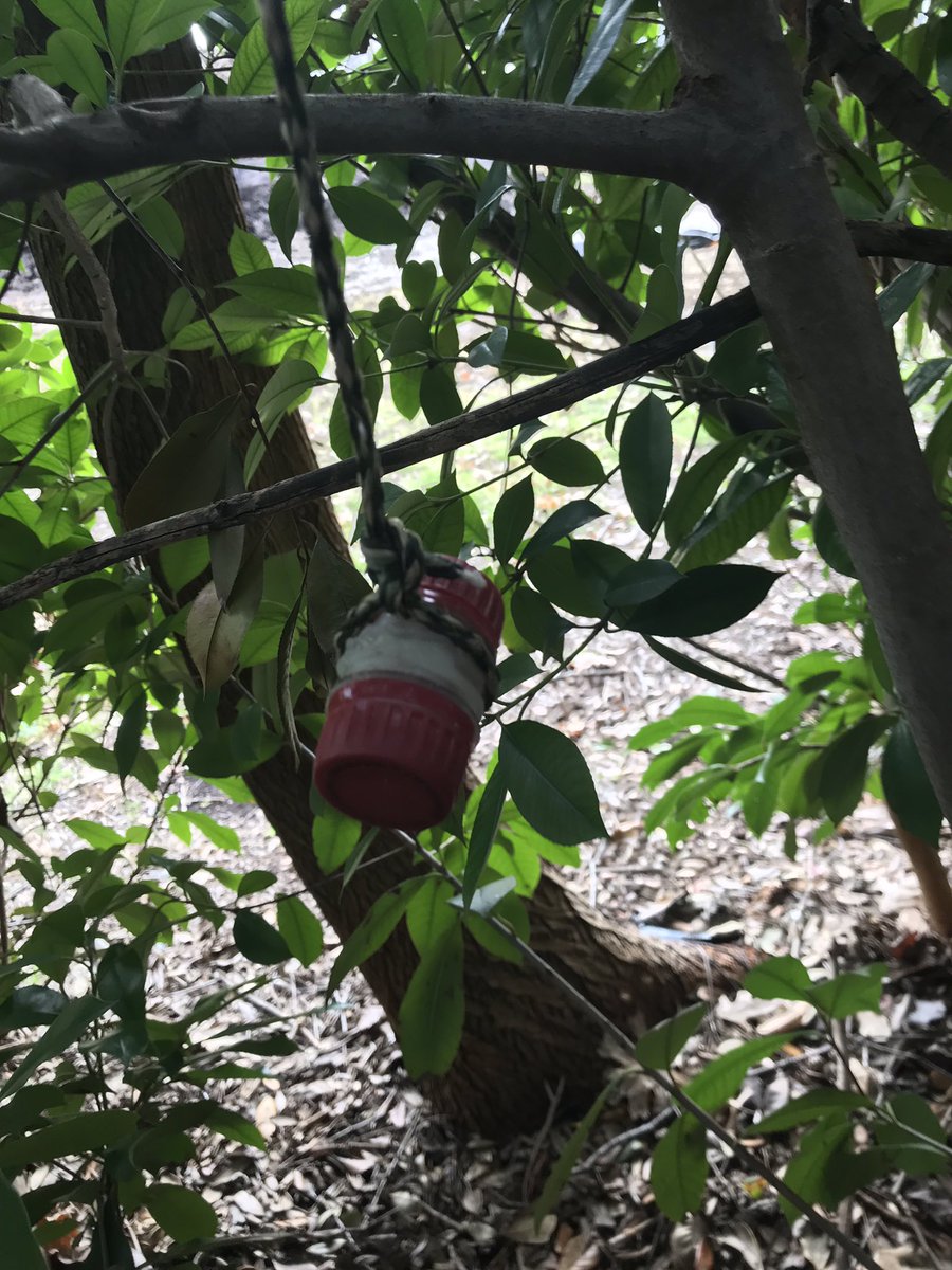 garyslinkard's tweet photo. #cacheforlunch #Geocaching https://t.co/uSdvSt9K2m