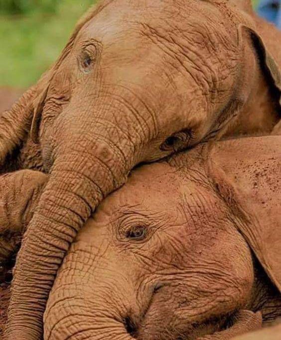 shopivoryella's tweet photo. MY HEART https://t.co/m774sZYVJf