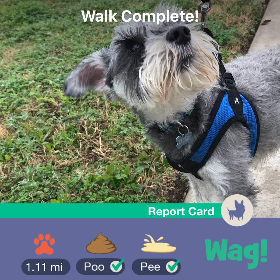 ClarkGeorgianna's tweet photo. Just finished a dog walk on Wag! Use my link https://t.co/S2DiT9nvmJ for $25 of FREE Wag credit! https://t.co/VYgnqb4CbI