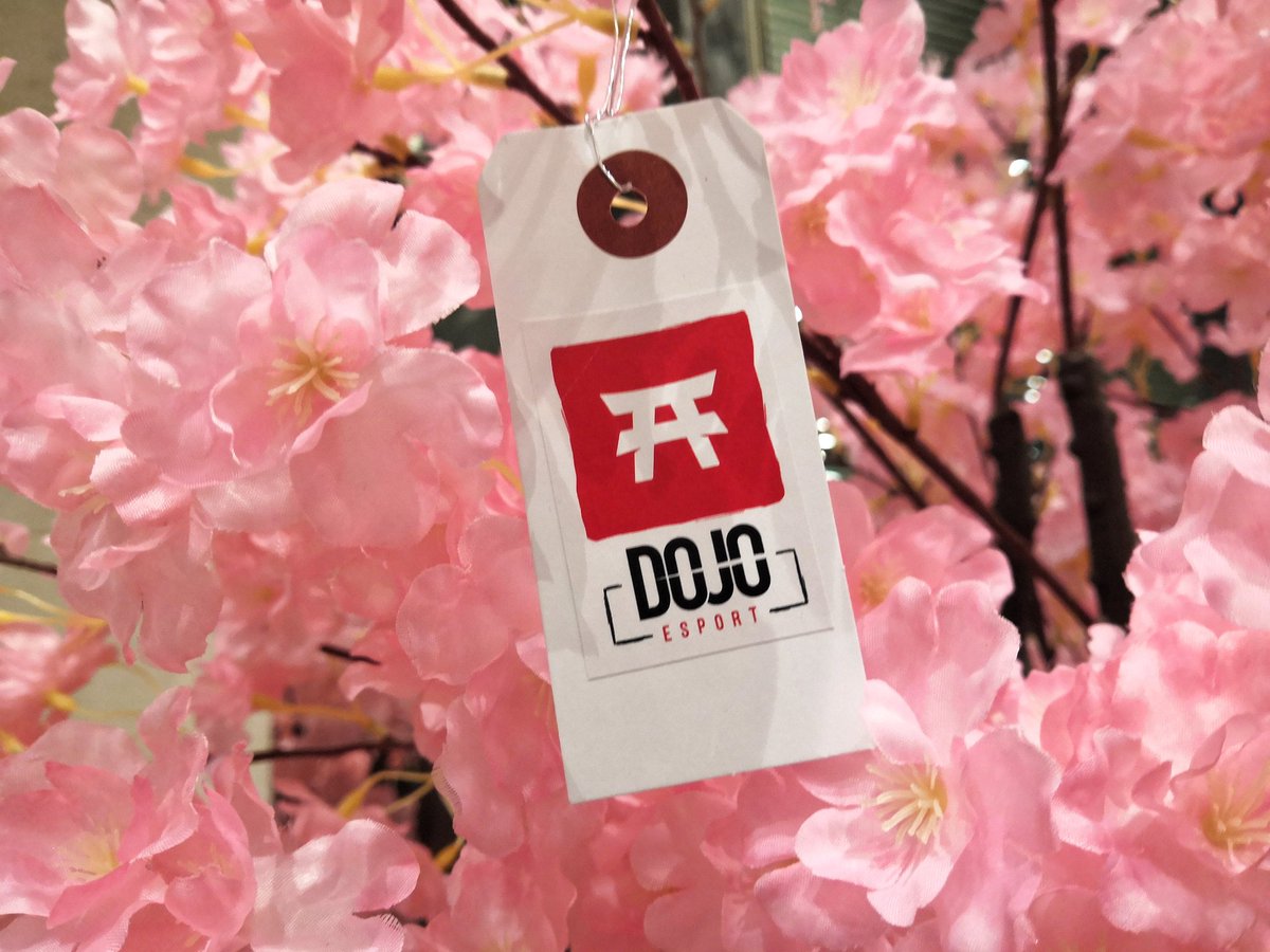 SmartCast.Ninja #DojoEsport tweet media