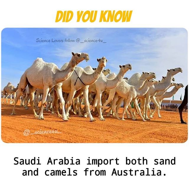 Science4u3's tweet image. 