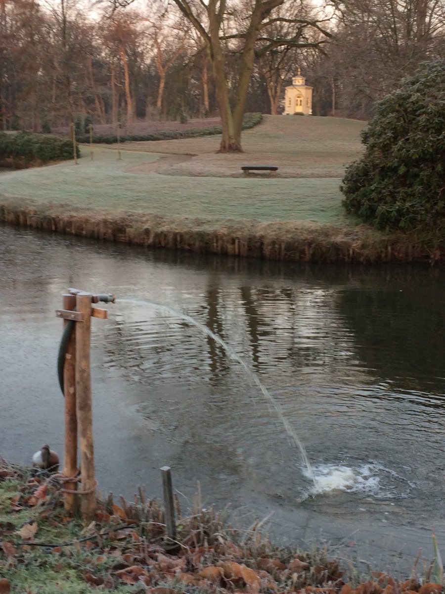 Laat koning winter maar komen. Fonteintje om een wak te houden voor onze zwarte zwanen.