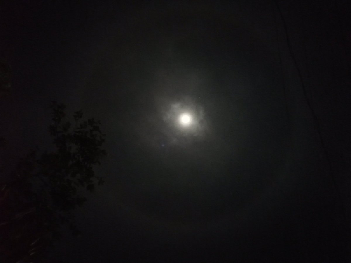 forestal_manuel's tweet photo. Anoche 😉 https://t.co/qMstC7KsNq